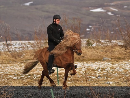 Sörli Hestamannafélag, Íþrótt, Lífstíll