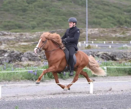 Sörli Hestamannafélag, Íþrótt, Lífstíll