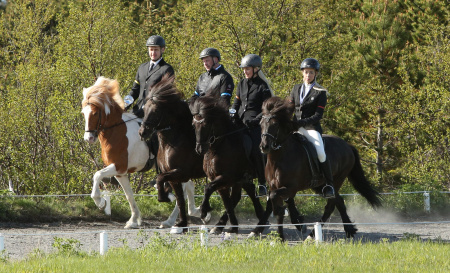 Sörli Hestamannafélag, Íþrótt, Lífstíll