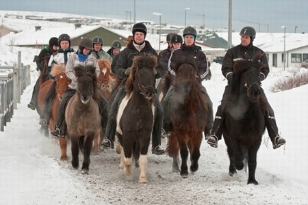 Sörli Hestamannafélag, Íþrótt, Lífstíll