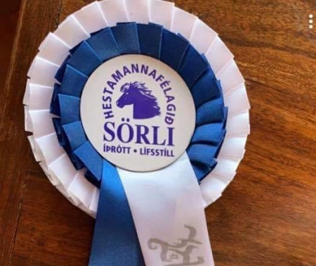 Sörli Hestamannafélag, Íþrótt, Lífstíll