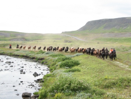 Sörli Hestamannafélag, Íþrótt, Lífstíll