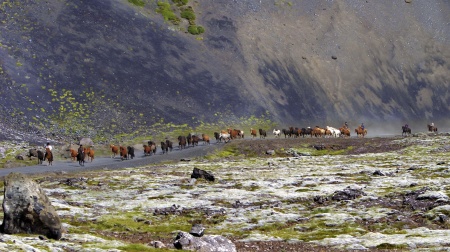 Sörli Hestamannafélag, Íþrótt, Lífstíll