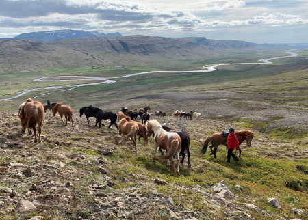 Sörli Hestamannafélag, Íþrótt, Lífstíll