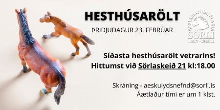 Sörli Hestamannafélag, Íþrótt, Lífstíll