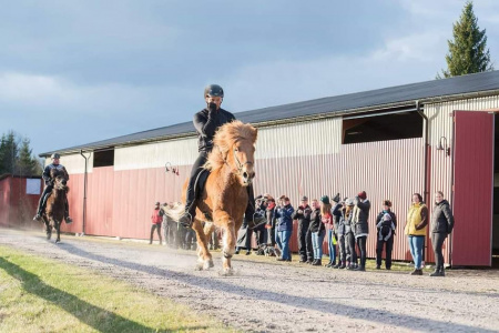 Sörli Hestamannafélag, Íþrótt, Lífstíll