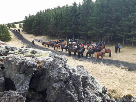 Sörli Hestamannafélag, Íþrótt, Lífstíll