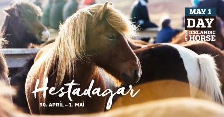 Sörli Hestamannafélag, Íþrótt, Lífstíll