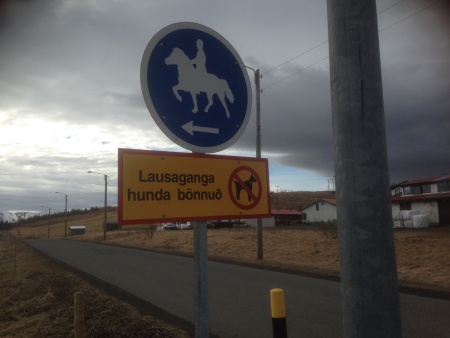 Sörli Hestamannafélag, Íþrótt, Lífstíll