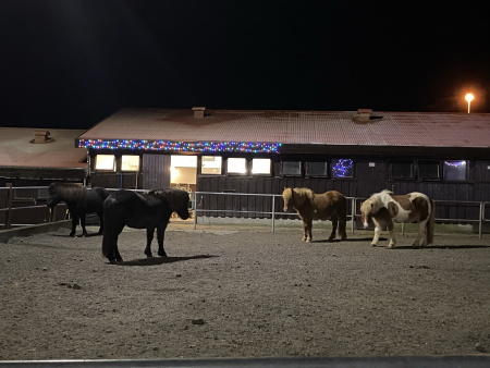 Sörli Hestamannafélag, Íþrótt, Lífstíll