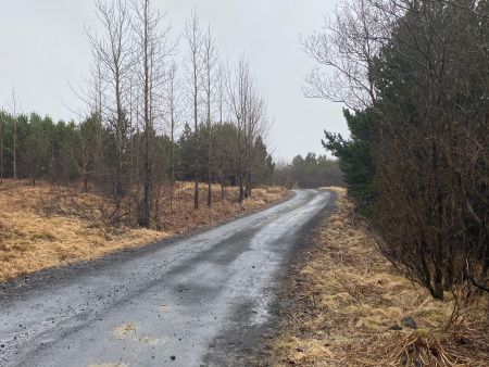 Sörli Hestamannafélag, Íþrótt, Lífstíll