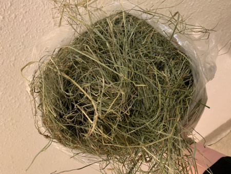 Sörli Hestamannafélag, Íþrótt, Lífstíll