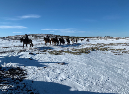 Sörli Hestamannafélag, Íþrótt, Lífstíll