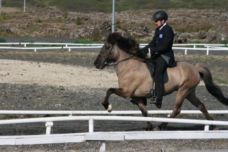 Sörli Hestamannafélag, Íþrótt, Lífstíll