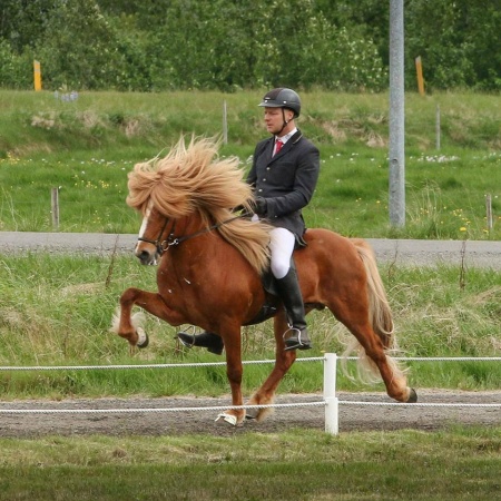 Sörli Hestamannafélag, Íþrótt, Lífstíll