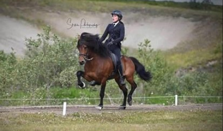 Sörli Hestamannafélag, Íþrótt, Lífstíll