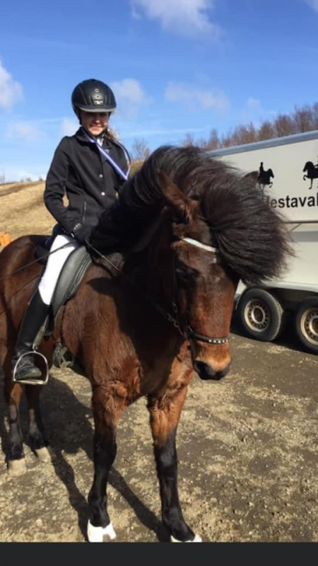 Sörli Hestamannafélag, Íþrótt, Lífstíll