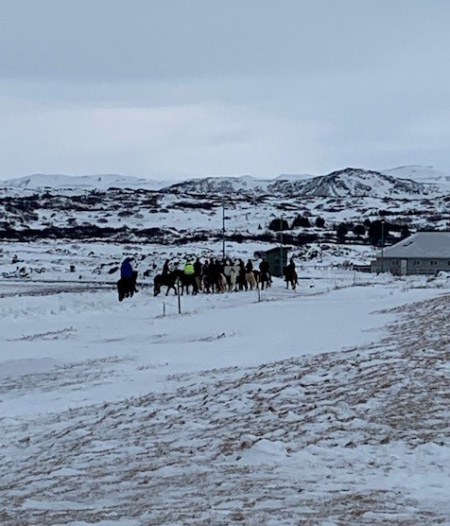 Sörli Hestamannafélag, Íþrótt, Lífstíll
