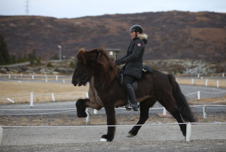 Sörli Hestamannafélag, Íþrótt, Lífstíll
