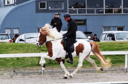 Sörli Hestamannafélag, Íþrótt, Lífstíll