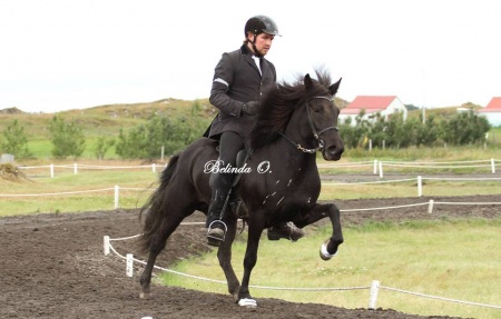 Sörli Hestamannafélag, Íþrótt, Lífstíll