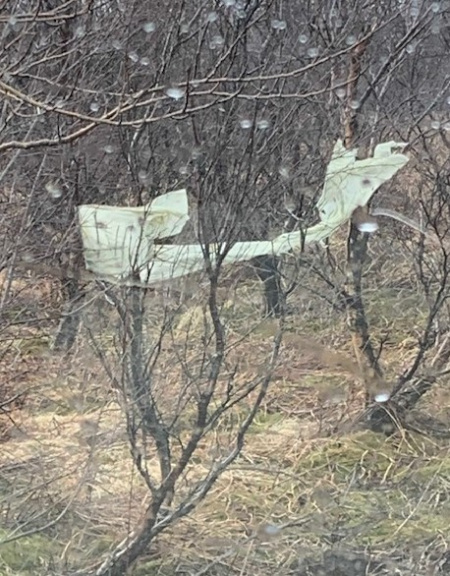 Sörli Hestamannafélag, Íþrótt, Lífstíll
