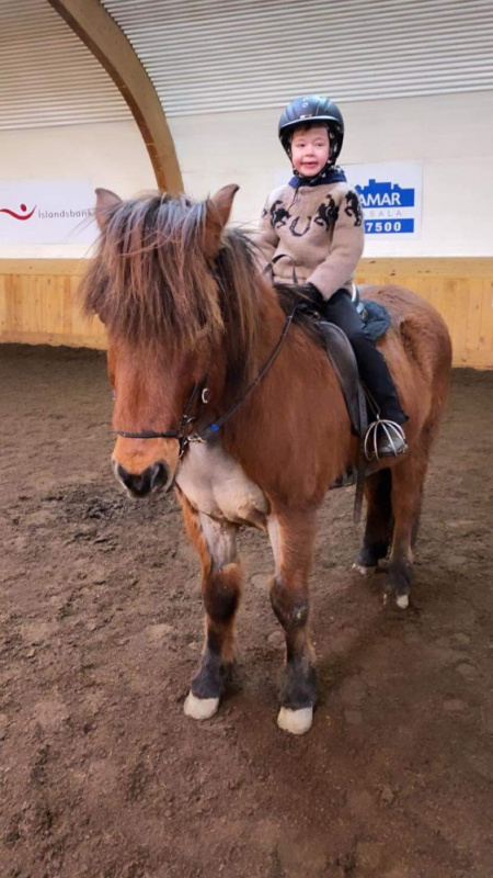 Sörli Hestamannafélag, Íþrótt, Lífstíll