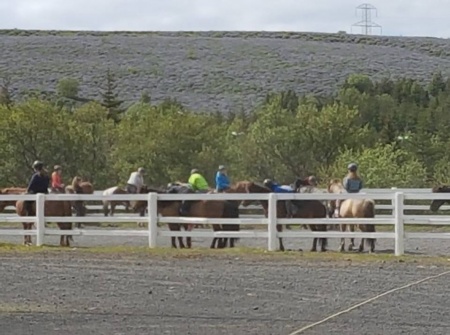 Sörli Hestamannafélag, Íþrótt, Lífstíll