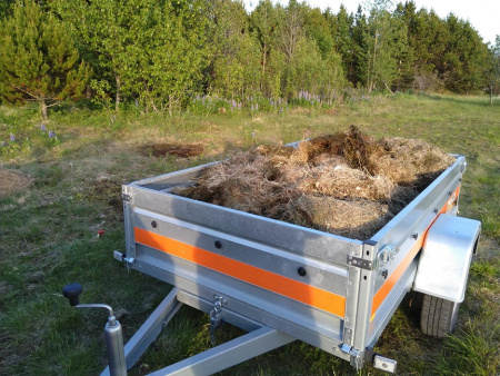 Sörli Hestamannafélag, Íþrótt, Lífstíll