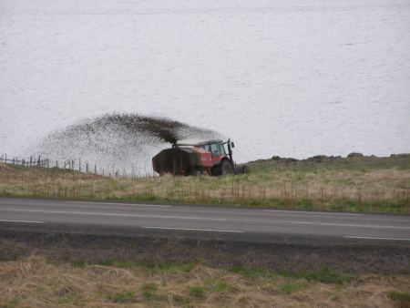 Sörli Hestamannafélag, Íþrótt, Lífstíll