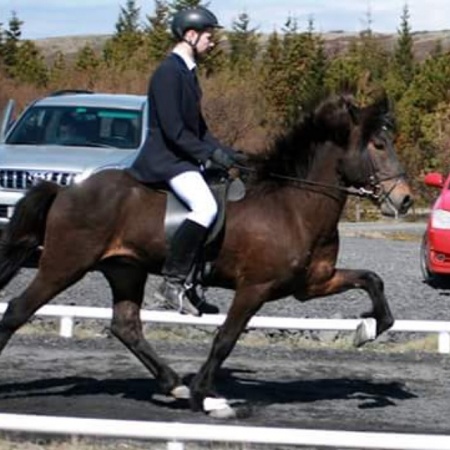 Sörli Hestamannafélag, Íþrótt, Lífstíll