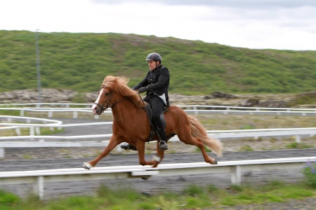 Sörli Hestamannafélag, Íþrótt, Lífstíll