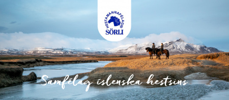 Sörli Hestamannafélag, Íþrótt, Lífstíll