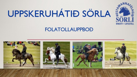 Sörli Hestamannafélag, Íþrótt, Lífstíll