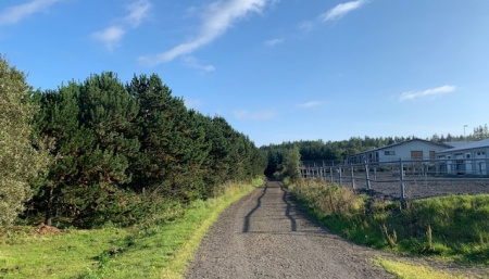 Sörli Hestamannafélag, Íþrótt, Lífstíll