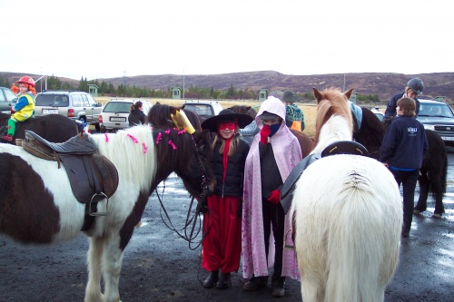 Sörli Hestamannafélag, Íþrótt, Lífstíll