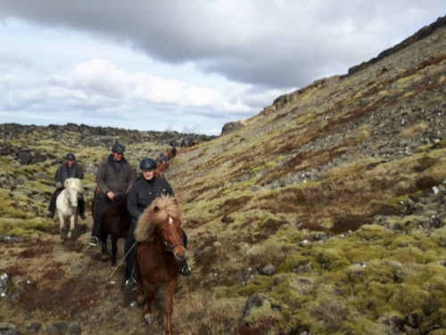 Sörli Hestamannafélag, Íþrótt, Lífstíll