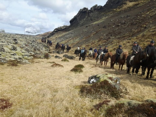 Sörli Hestamannafélag, Íþrótt, Lífstíll