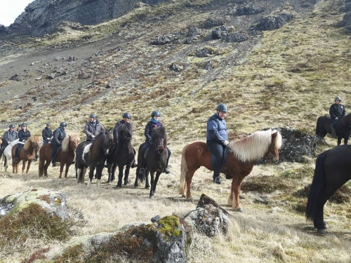 Sörli Hestamannafélag, Íþrótt, Lífstíll