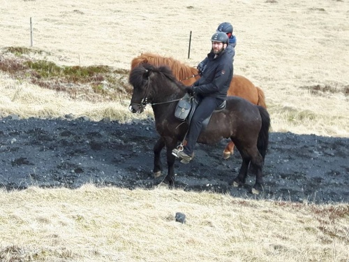 Sörli Hestamannafélag, Íþrótt, Lífstíll