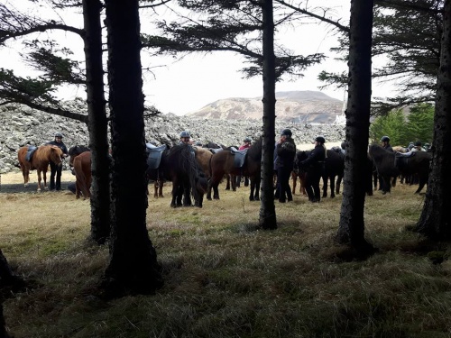 Sörli Hestamannafélag, Íþrótt, Lífstíll