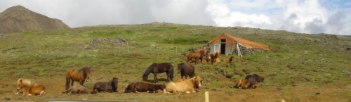 Sörli Hestamannafélag, Íþrótt, Lífstíll