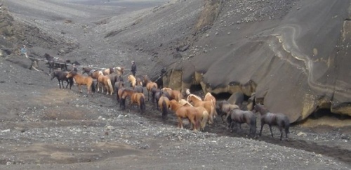 Sörli Hestamannafélag, Íþrótt, Lífstíll