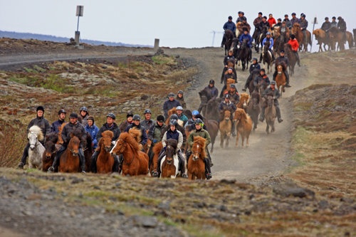 Sörli Hestamannafélag, Íþrótt, Lífstíll