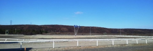 Sörlastaðir, Skeiðvöllur