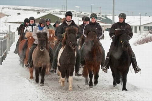 Sörli Hestamannafélag, Íþrótt, Lífstíll
