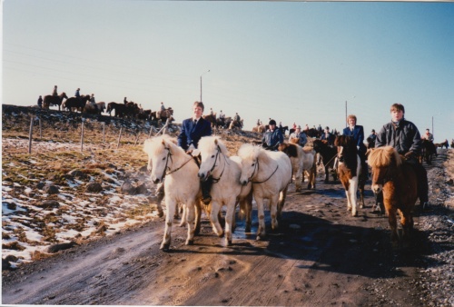 Sörli Hestamannafélag, Íþrótt, Lífstíll