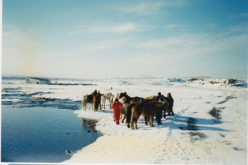 Reiðtúr, Kaldársel, Sörli, Hestamannafélag, Hafnarfjörður