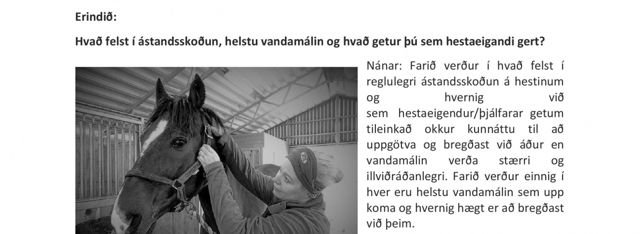 Sörli Hestamannafélag, Íþrótt, Lífstíll